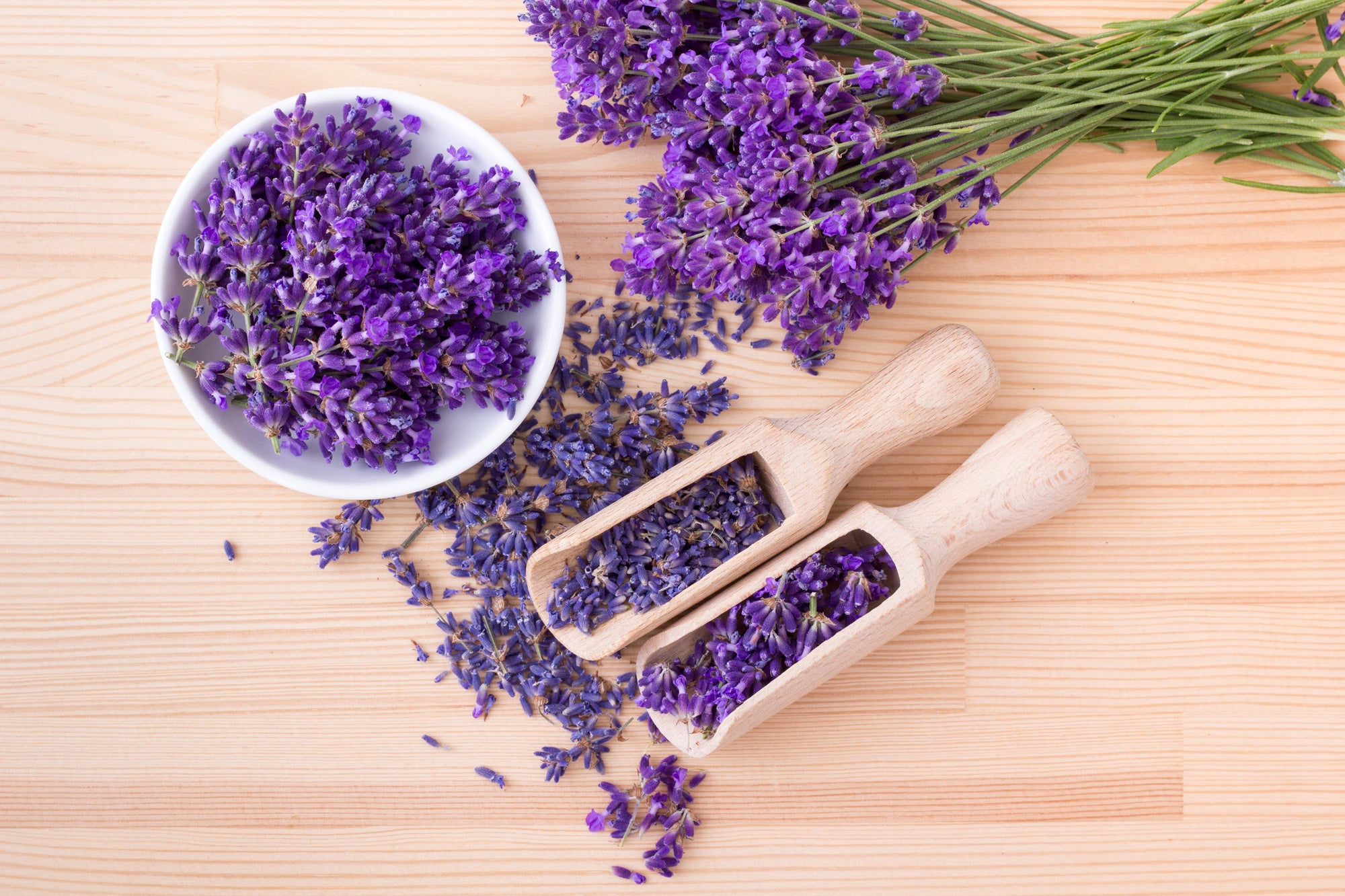 Highlighting the lovely scent of Lavender